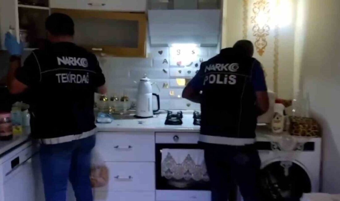 Tekirdağ’ın Çorlu, Kapaklı ve Süleymanpaşa ilçelerinde sokak satıcılarına yönelik düzenlenen