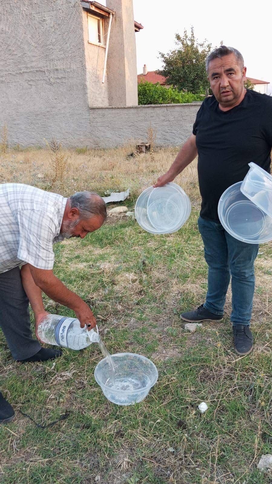 Afyonkarahisar’da bir mahalle muhtarı sıcak yaz günlerinde sokak hayvanlarını düşünerek
