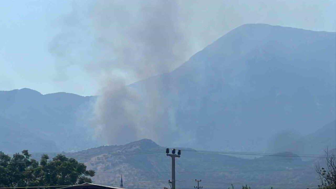 Muğla’nın Seydikemer ilçesinde makilik alanda çıkan ve ormana sıçrayan yangına