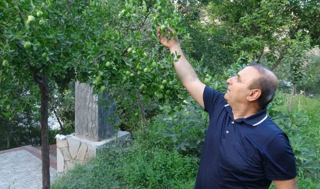 Malatya’da, kayısı başta olmak üzere birçok meyve üretimini olumsuz etkileyen