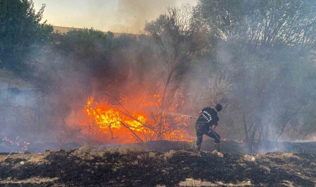 Malatya’nın Arguvan ilçesinde çıkan anız yangını, itfaiye ekiplerinin müdahalesiyle söndürüldü.