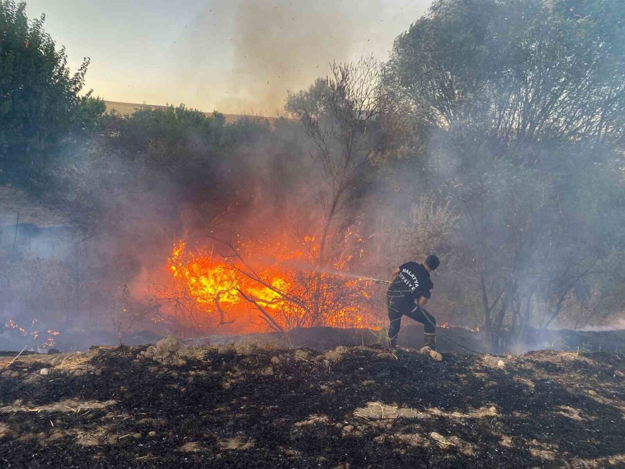 Malatya’nın Arguvan ilçesinde çıkan anız yangını, itfaiye ekiplerinin müdahalesiyle söndürüldü.