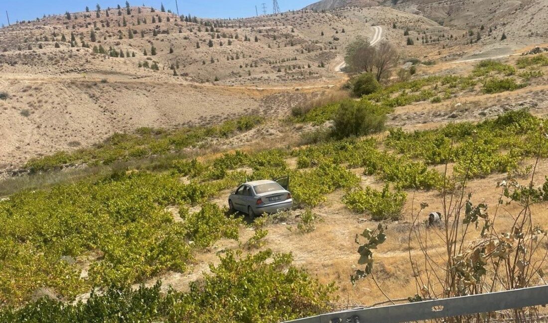 Malatya’nın Darende ilçesinde sürücüsünün kontrolünden çıkan otomobil üzüm bağına uçtu.