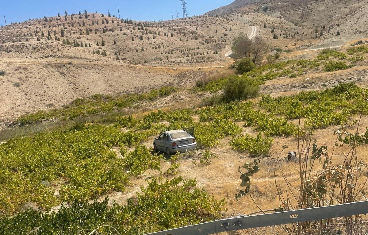 Malatya’nın Darende ilçesinde sürücüsünün kontrolünden çıkan otomobil üzüm bağına uçtu.