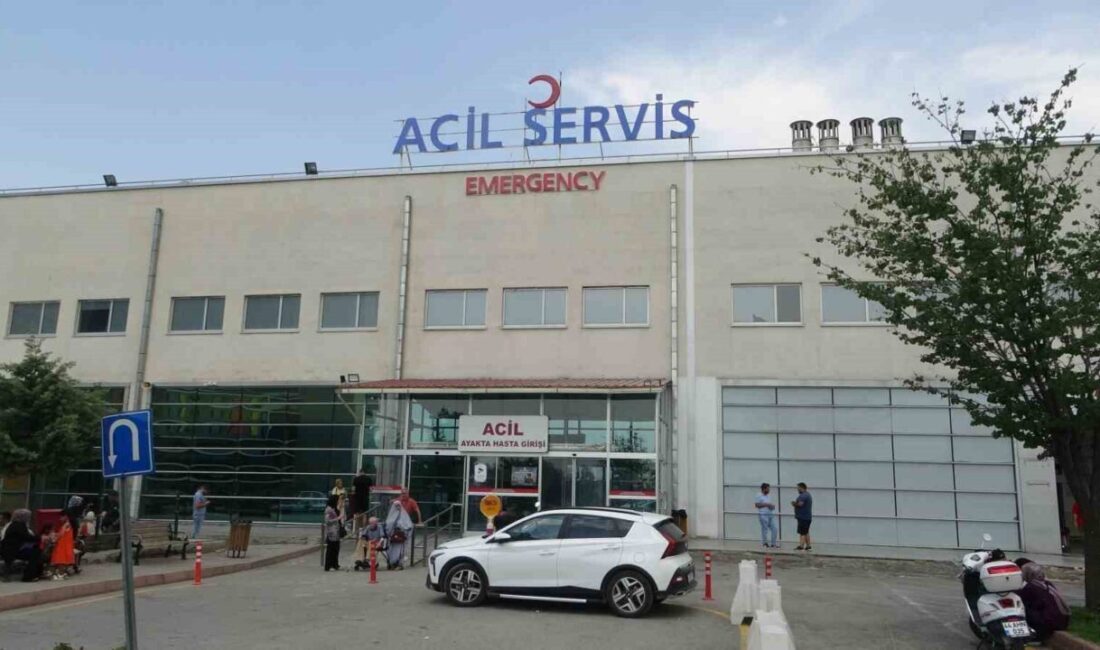 Malatya’da yolun karşısına geçmeye çalışan 1 kişi, pikabın çarpması sonucu