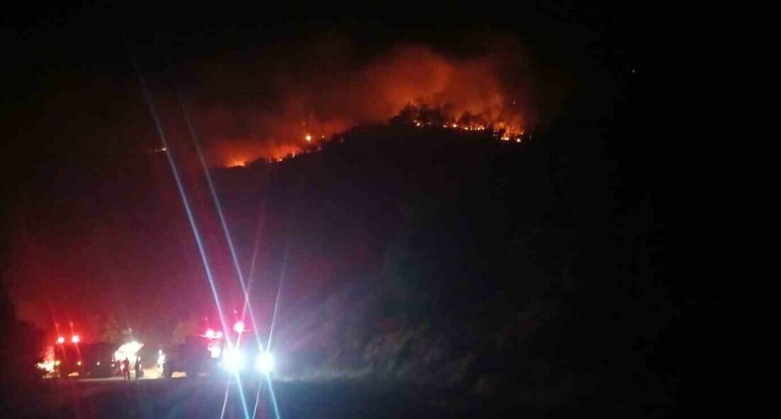 Malatya’nın Doğanyol ilçesinde çıkan orman yangınını söndürmek için ekiplerin çalışmaları
