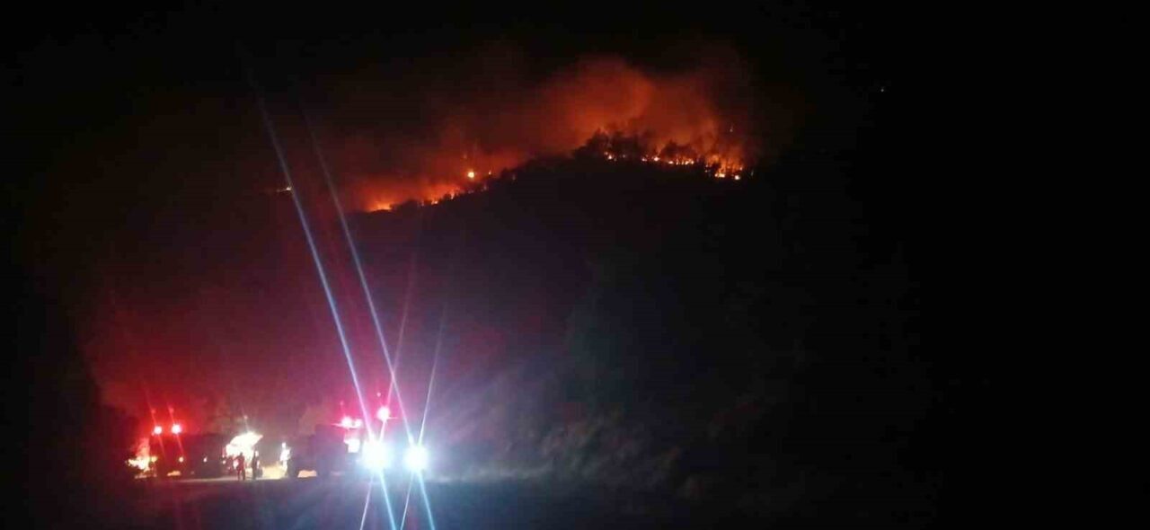 Malatya’nın Doğanyol ilçesinde çıkan orman yangınını söndürmek için ekiplerin çalışmaları