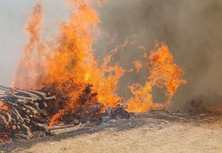 Malatya’nın Doğanyol ilçesinde orman yangını çıktı. Yangının kısa sürede geniş