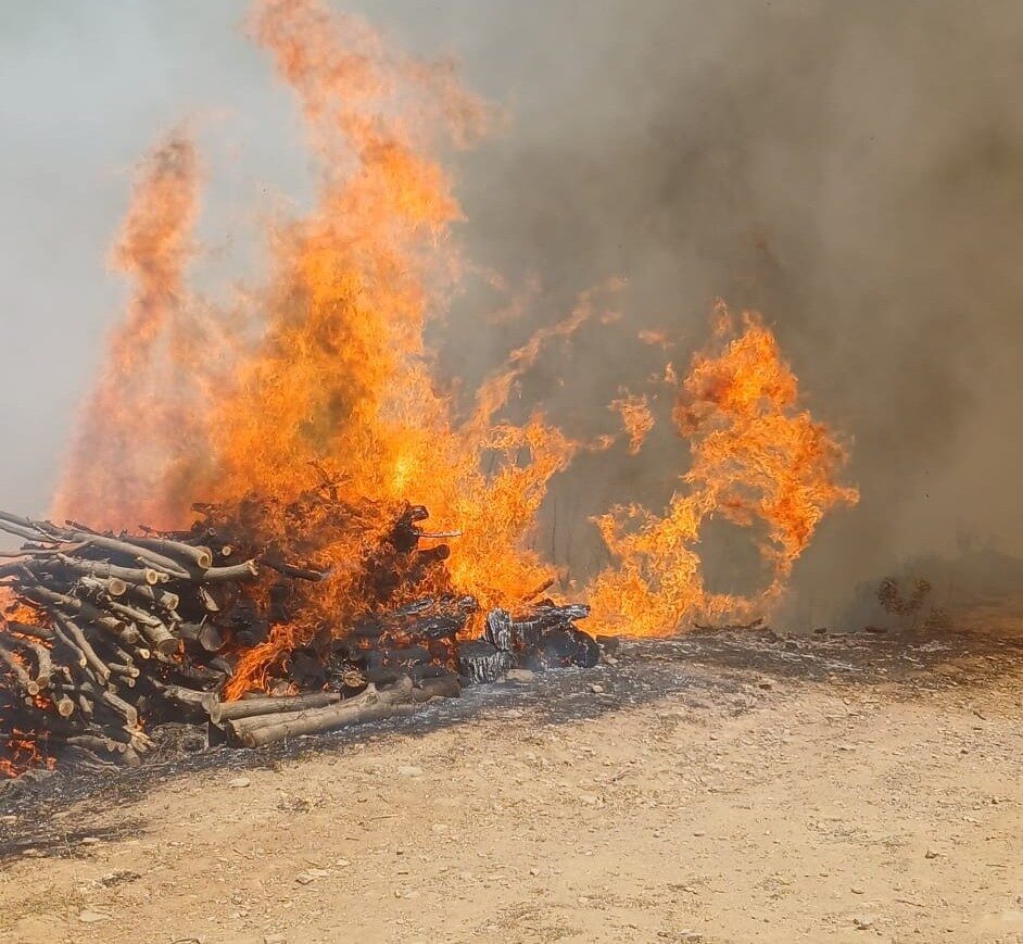 Malatya’nın Doğanyol ilçesinde orman yangını çıktı. Yangının kısa sürede geniş