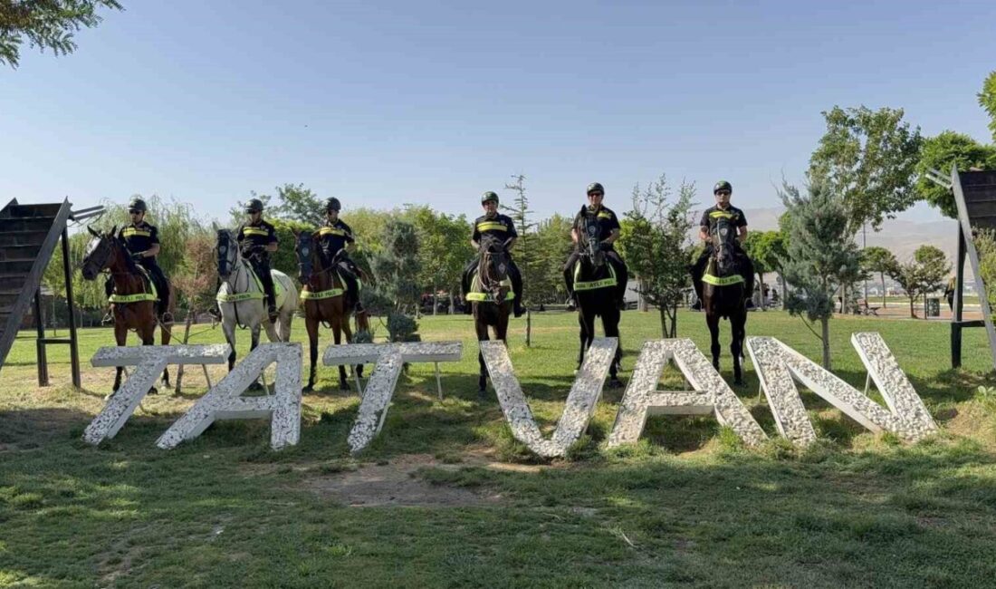 Bitlis’in Ahlat ilçesinde bu yıl 954’üncü yıl dönümü kutlanacak olan