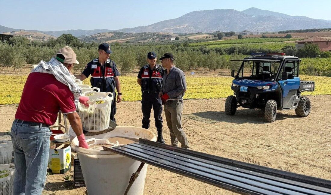 On iki ay tarımsal üretimin yapıldığı Salihli Ovası’nda sahaya inen