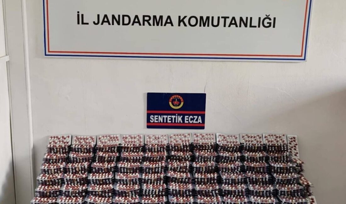 Manisa İl Jandarma Komutanlığı Şehzadeler İlçe Jandarma Komutanlığı Asayiş ve