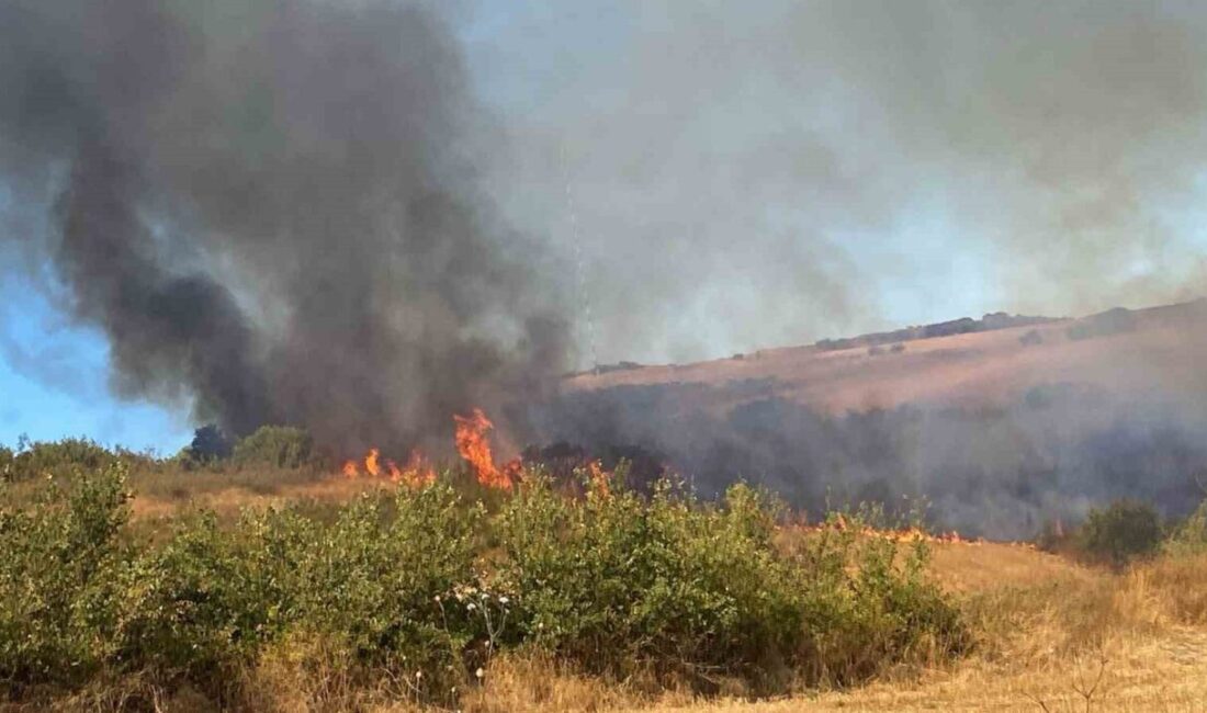 Balıkesir’in Manyas ilçesine bağlı Yeniköy Mahallesi’nde çıkan yangına kısa sürede