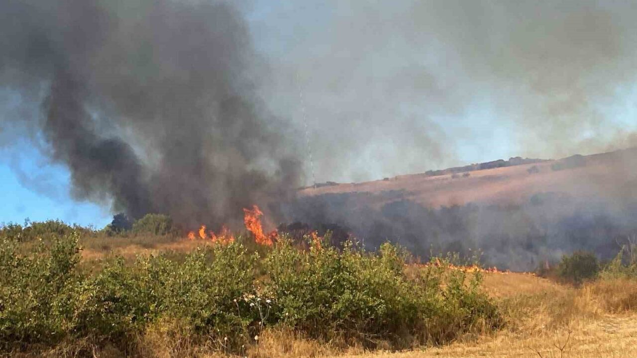 Balıkesir’in Manyas ilçesine bağlı Yeniköy Mahallesi’nde çıkan yangına kısa sürede