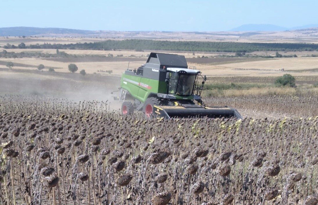Balıkesir’in Manyas ilçesinde ayçiçeği hasadı başladı. Yaz döneminde yağışların yetersiz
