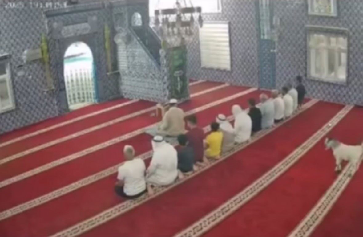 Mardin’in Kızıltepe ilçesinde cemaat namaz kılarken camiye giren oğlak güvenlik