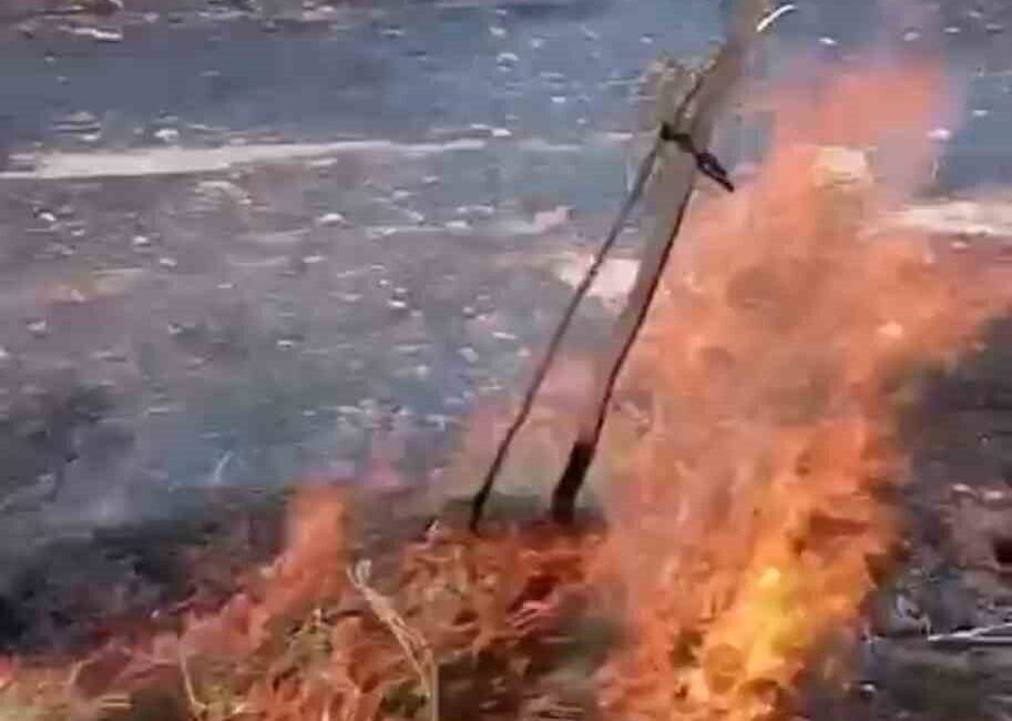 Mardin’in Nusaybin ilçesinde çıkan ot yangını, kontrol altına alınarak söndürüldü.
