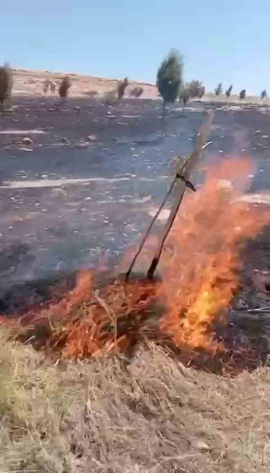 Mardin’in Nusaybin ilçesinde çıkan ot yangını, kontrol altına alınarak söndürüldü.