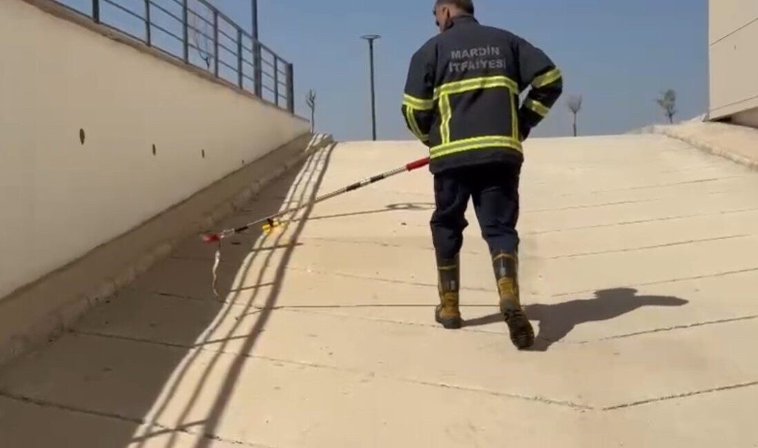 Mardin’de diş hastanesinin bodrum katına giren yılan, itfaiye ekiplerince yakalanarak