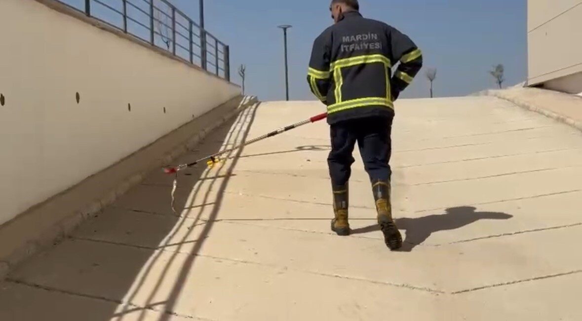 Mardin’de diş hastanesinin bodrum katına giren yılan, itfaiye ekiplerince yakalanarak