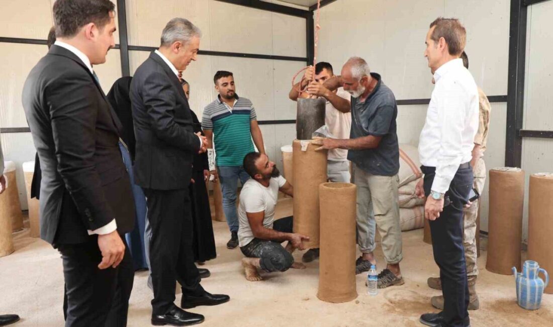 Mardin’in Dargeçit ilçesi Temelli Mahallesinde geleneksel arı kovanı üretim projesi