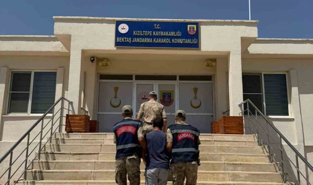 Mardin’de sosyal medyada hayvanların kısırlaştırılmasına ilişkin uygunsuz paylaşım yapan kişi