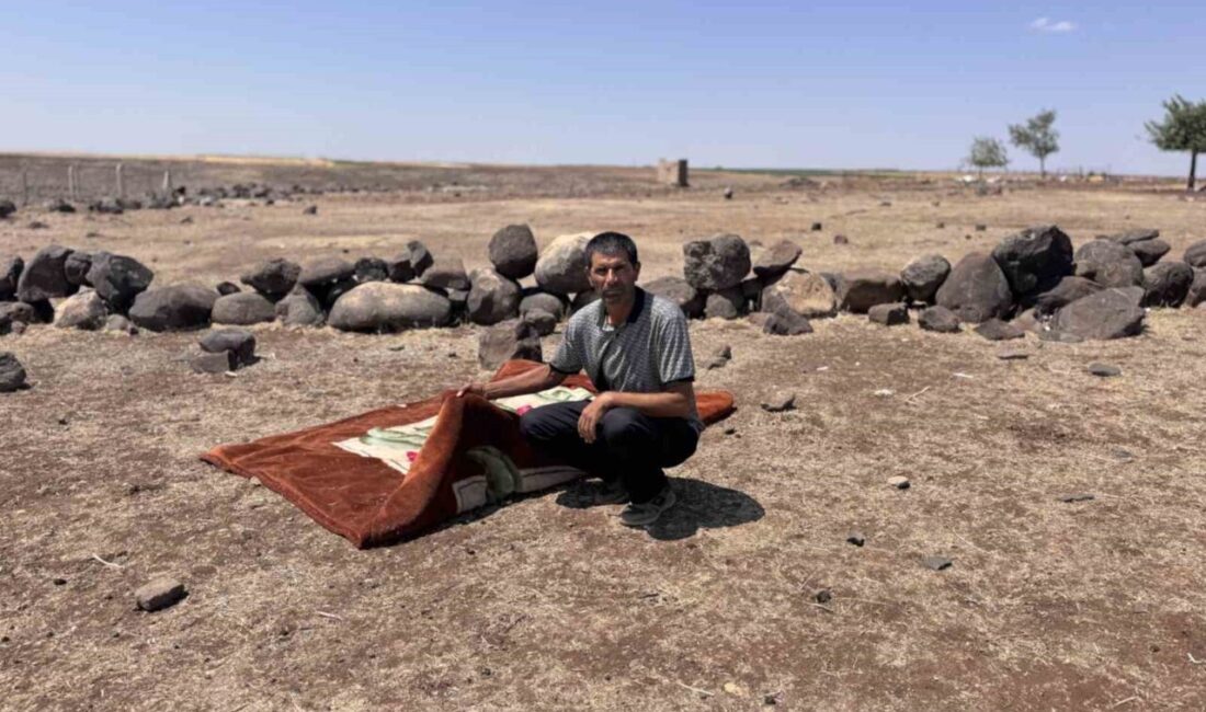 Mardin’in Derik ilçesine bağlı Akçay Mahallesi’nde kayalıklardan düşerek hayatını kaybeden