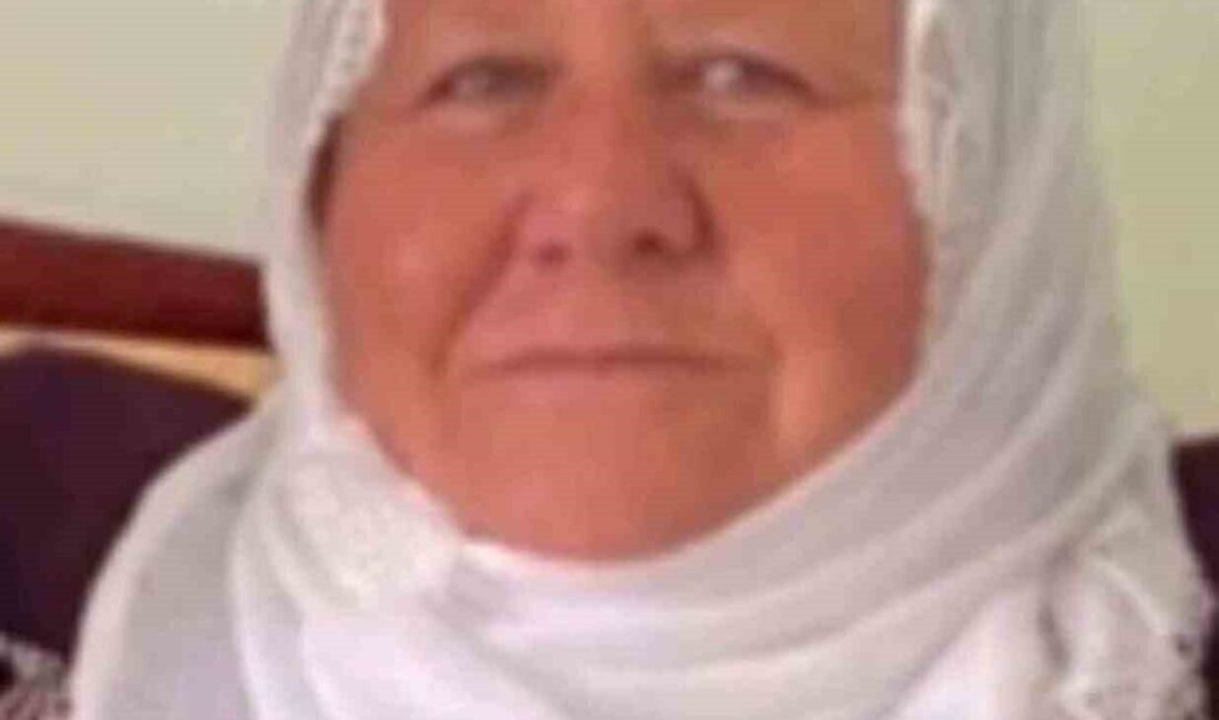 Mardin’in Midyat ilçesinde yolun karşısına geçmeye çalışan 60 yaşındaki Kadriye