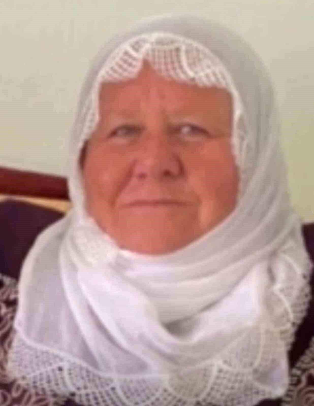 Mardin’in Midyat ilçesinde yolun karşısına geçmeye çalışan 60 yaşındaki Kadriye