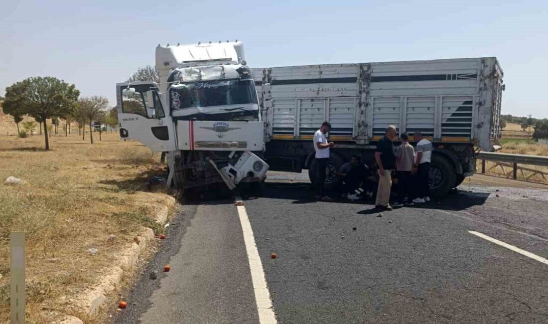 Mardin’de tır ile otomobilin çarpışması sonucu meydana gelen trafik kazasında
