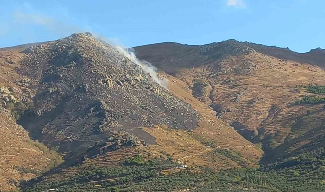 Marmara Adası’nda bu sabah kontrol altına alınan yangının rüzgar sebebiyle