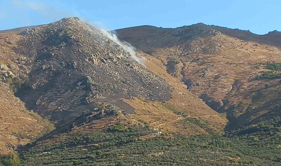 Balıkesir’in Marmara Adası’nda gece saatlerinde otluk alanda çıkan yangına, orman