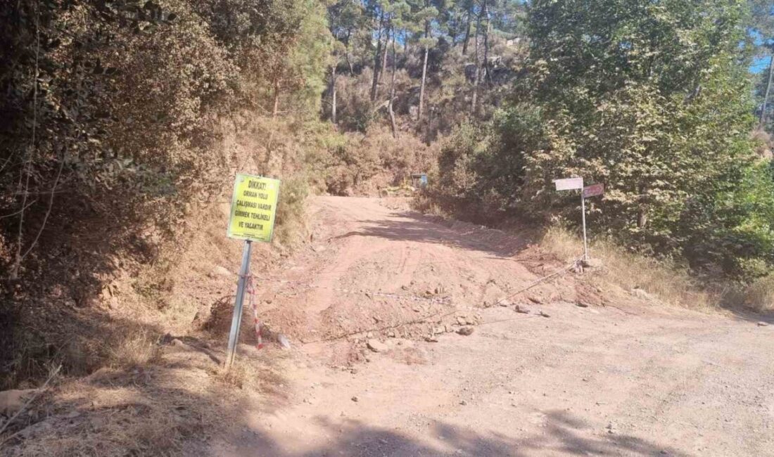 Muğla’nın Marmaris ilçesine bağlı Turgut Mahallesindeki ormanlık yollarda bakım çalışmaları