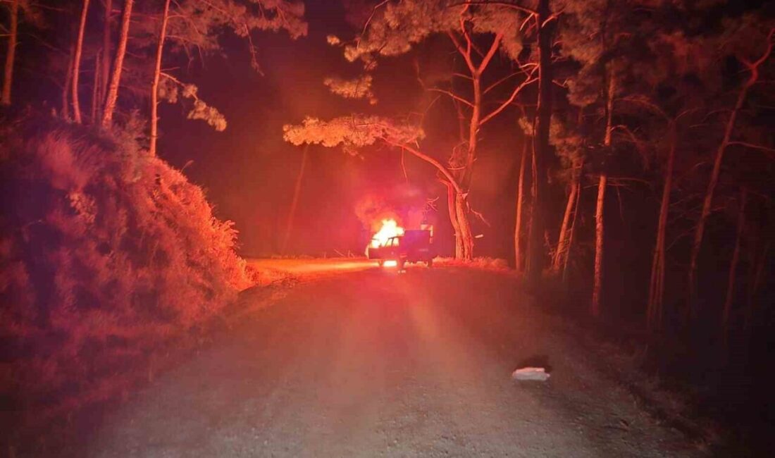 Muğla’nın Marmaris ilçesi Osmaniye Mahallesi’ne bağlı Sarnıç mevkiinde meydana gelen