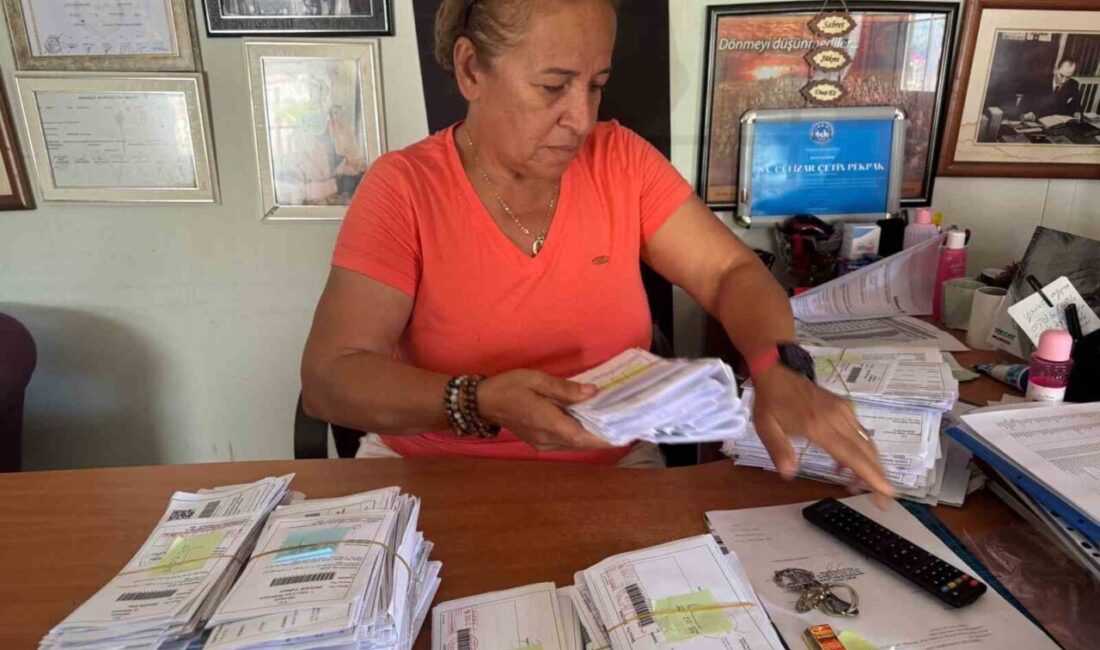 Muğla’nın Marmaris ilçesinde sürücülere kesilen trafik cezaların önemli bir kısmı