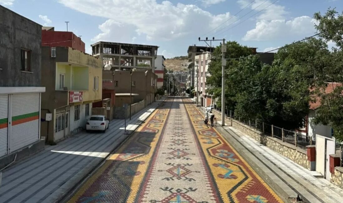 Mardin’in Mazıdağı ilçesinde milyonlarca lira harcanarak yapılan halı desenli yol