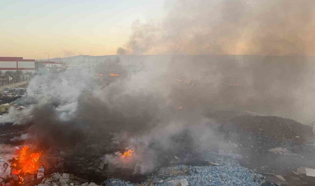 Diyarbakır Mega Sanayi Sitesi’ne ait atık çöp toplama alanında çıkan