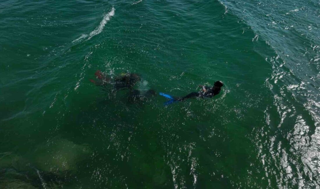 Ünlü şarkıcı Mehmet Çevik şimdide balık adam oldu. Yeni şarkısına