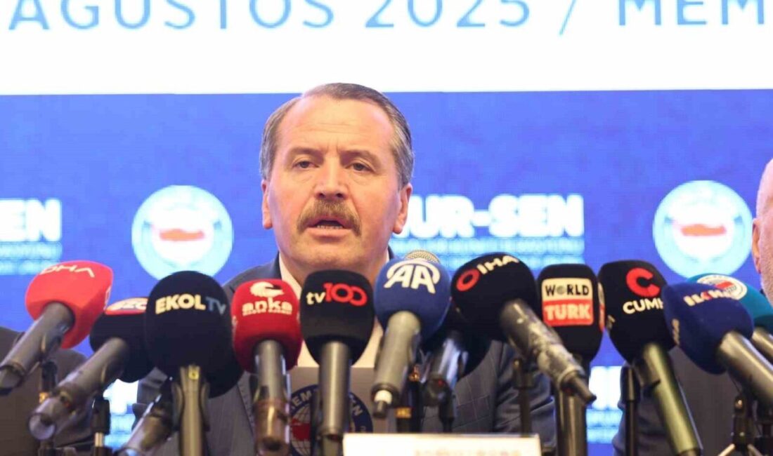 Memur Sendikaları Konfederasyonu (Memur-Sen) Genel Başkanı Ali Yalçın, 8. Dönem