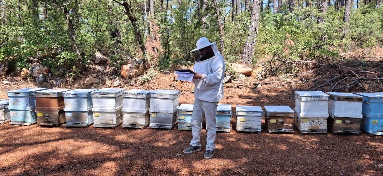 Muğla’nın Menteşe ilçesinde 2025 yılı Arılı Kovan Destekleme Programı kapsamında