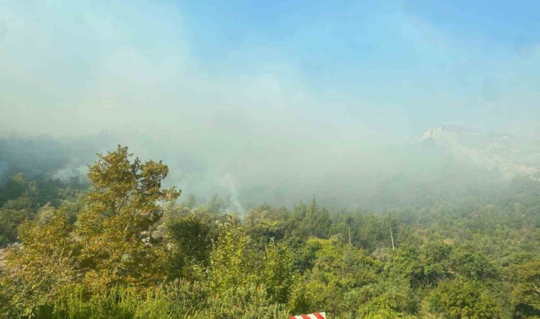 Mersin’in Anamur ilçesinde dün öğleden sonra çıkan orman yangını halen