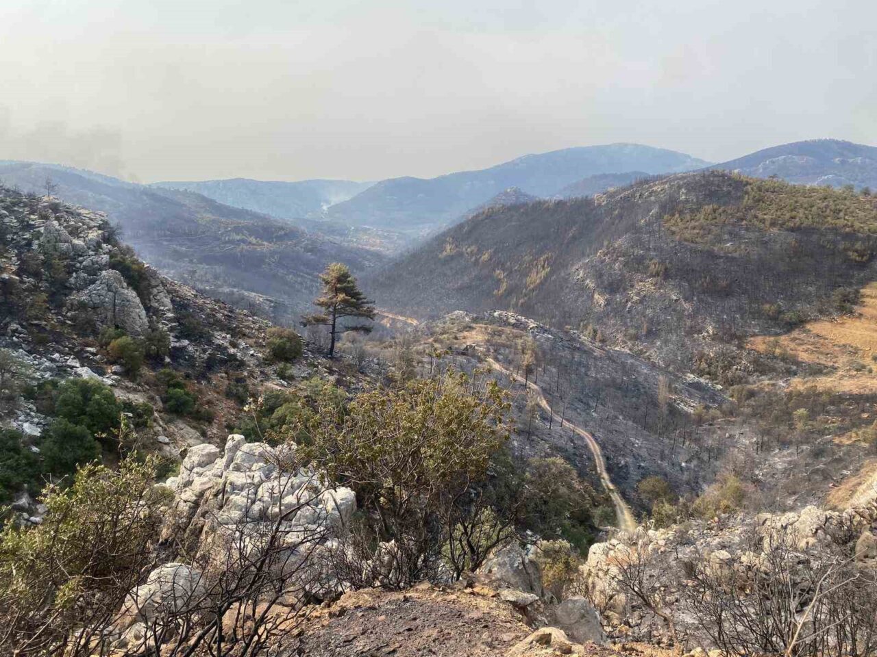 Mersin’in Silifke ilçesinde 3 gündür devam eden orman yangınının büyük