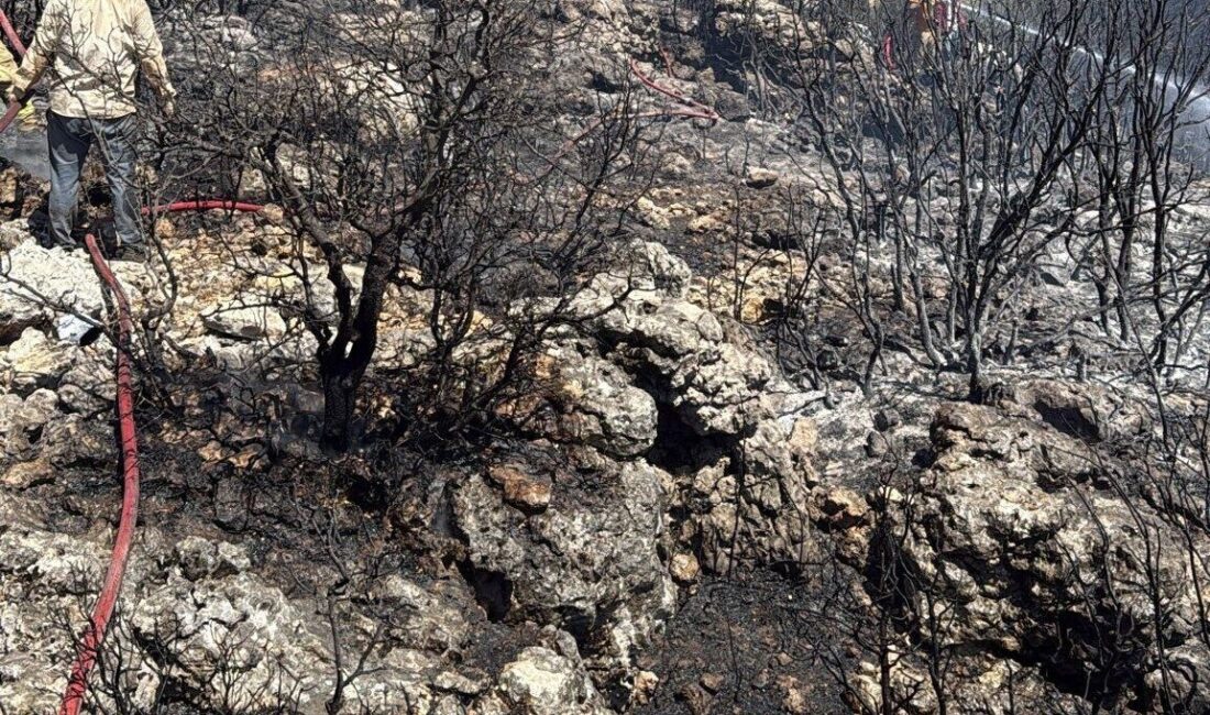 Mersin’in Silifke ilçesi kırsalında orman dışında başlayan yangın meşelik alana