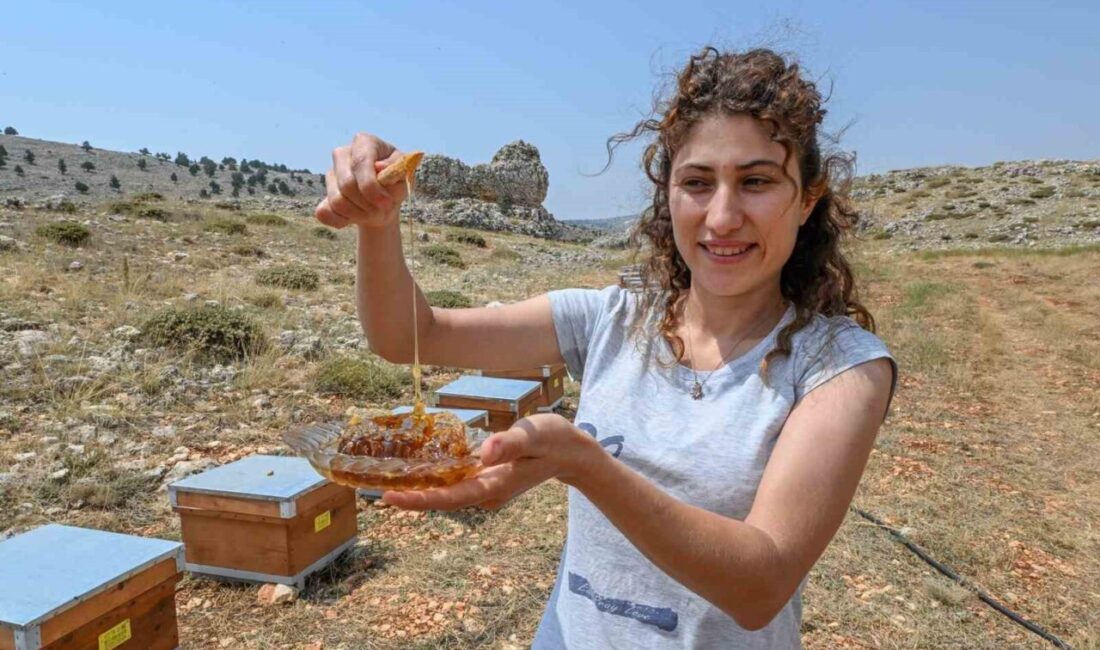 Mersin’de ‘Altın Kovan Projesi’ ile arı yetiştiricilerine yönelik verilen destekler
