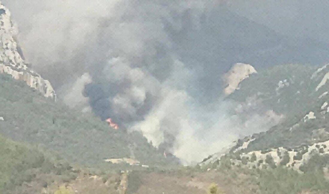 Mersin’in Anamur ilçesinde orman yangını çıktı. Ekipler bölgeye sevk edilirken,