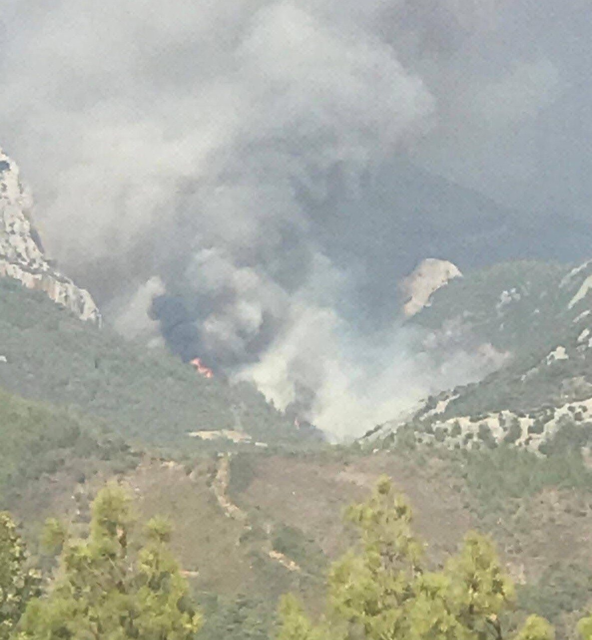 Mersin’in Anamur ilçesinde orman yangını çıktı. Ekipler bölgeye sevk edilirken,