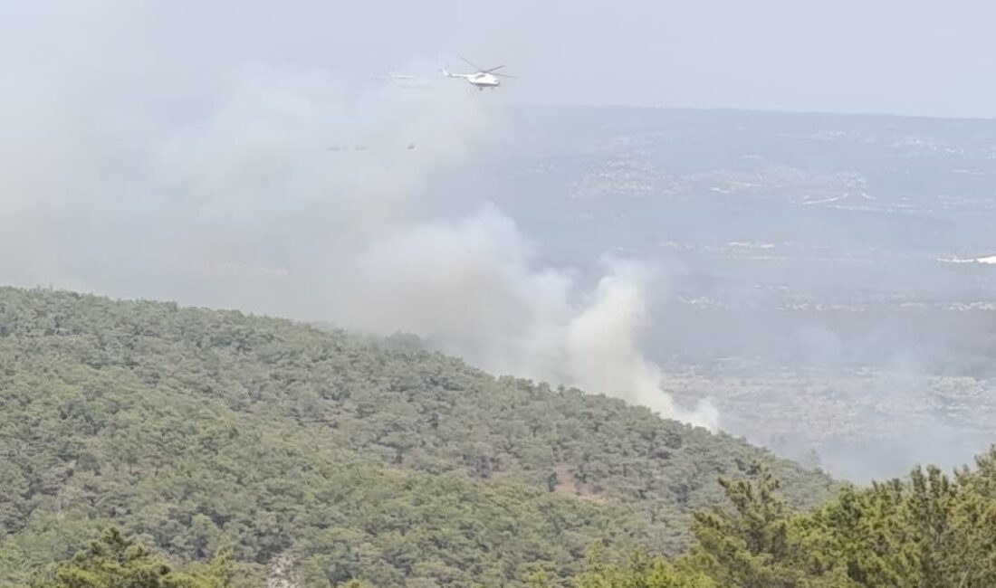 Mersin’in Silifke ilçesinde önceki gün çıkan orman yangınına bölgede kaynak