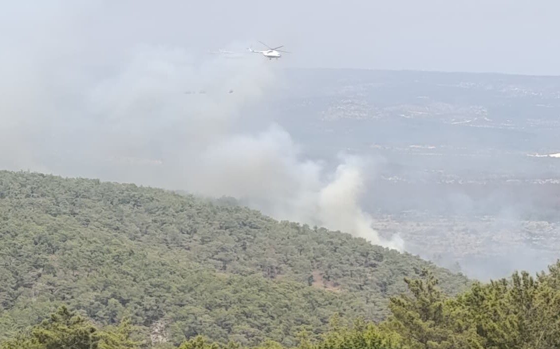 Mersin’in Silifke ilçesinde önceki gün çıkan orman yangınına bölgede kaynak