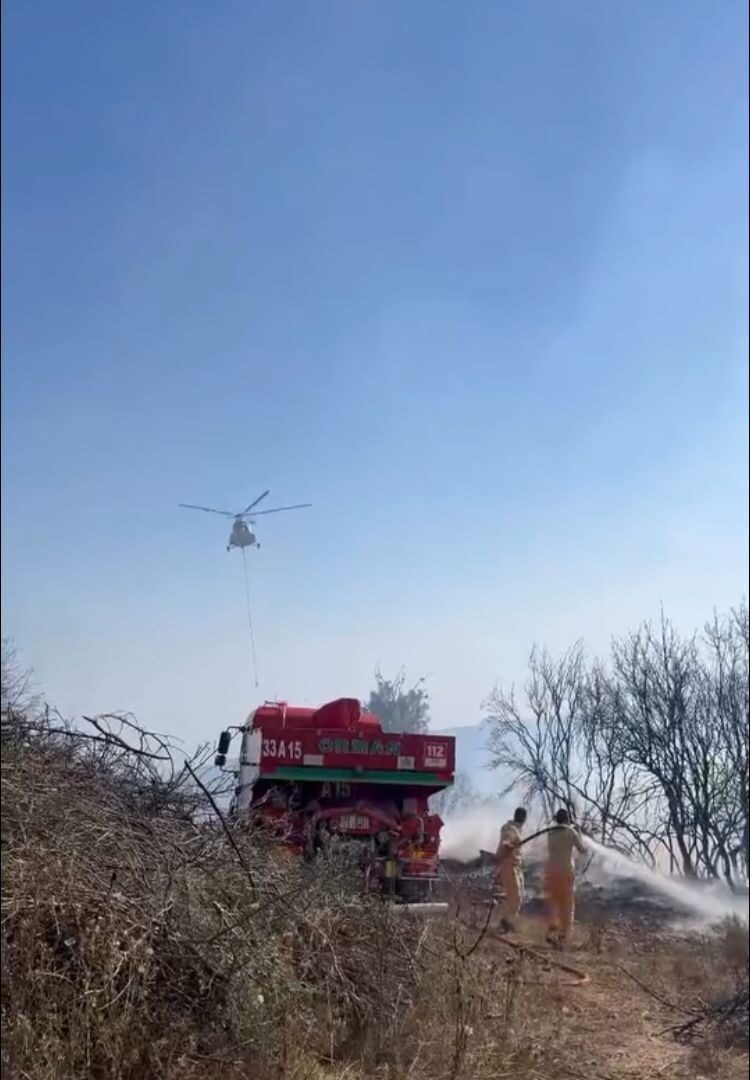 Mersin’in Mezitli ilçesinde ormanlık alanda çıkan yangın, havadan ve karadan