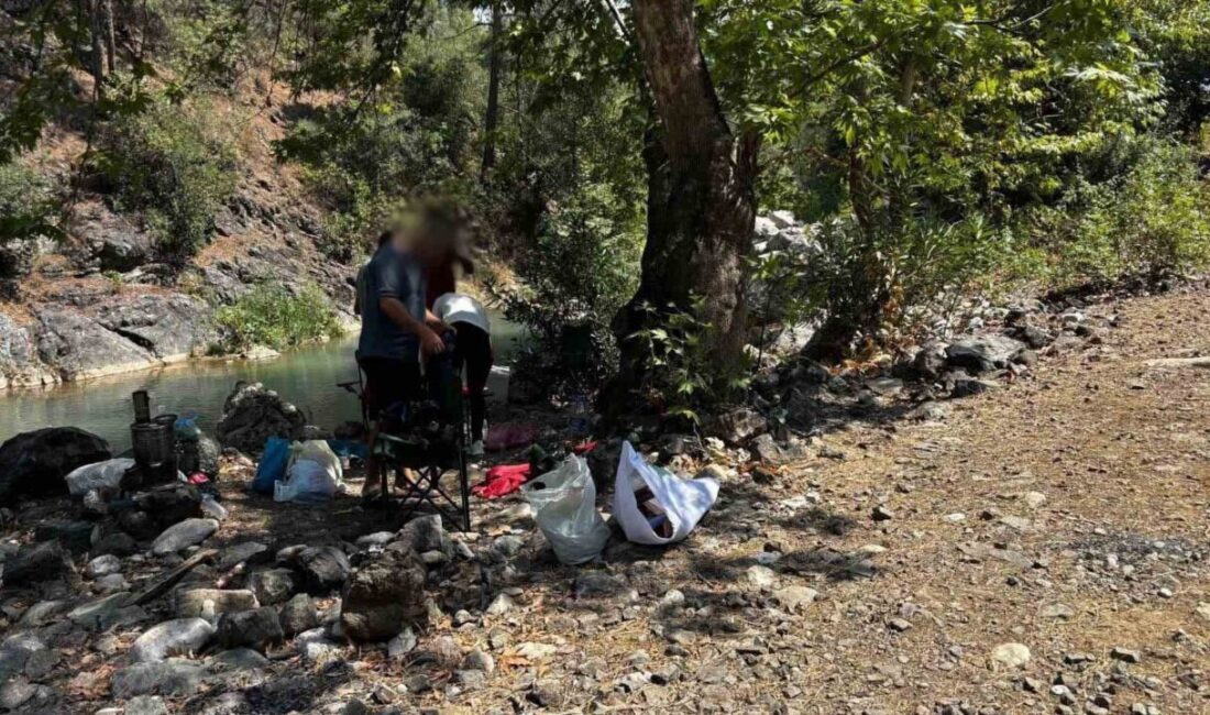 Mersin’de piknik yapmak amacıyla ormanlık alana izinsiz giren 4 şahsa